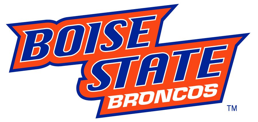 Boise State Broncos 2002-2012 Wordmark Logo v2 DIY iron on transfer (heat transfer)